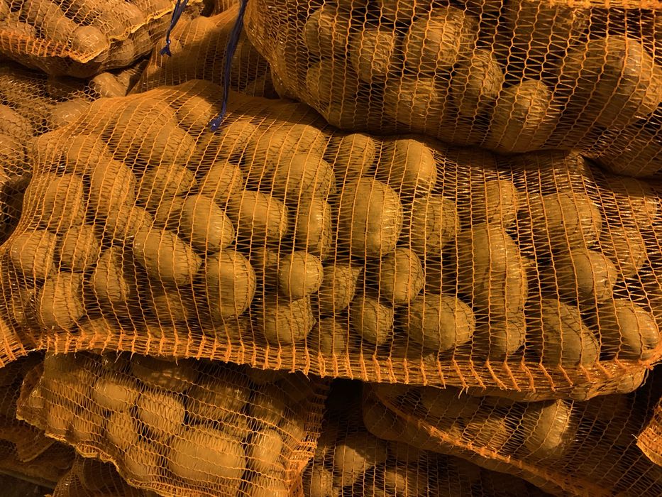 Cartof pentru consum - Arizona