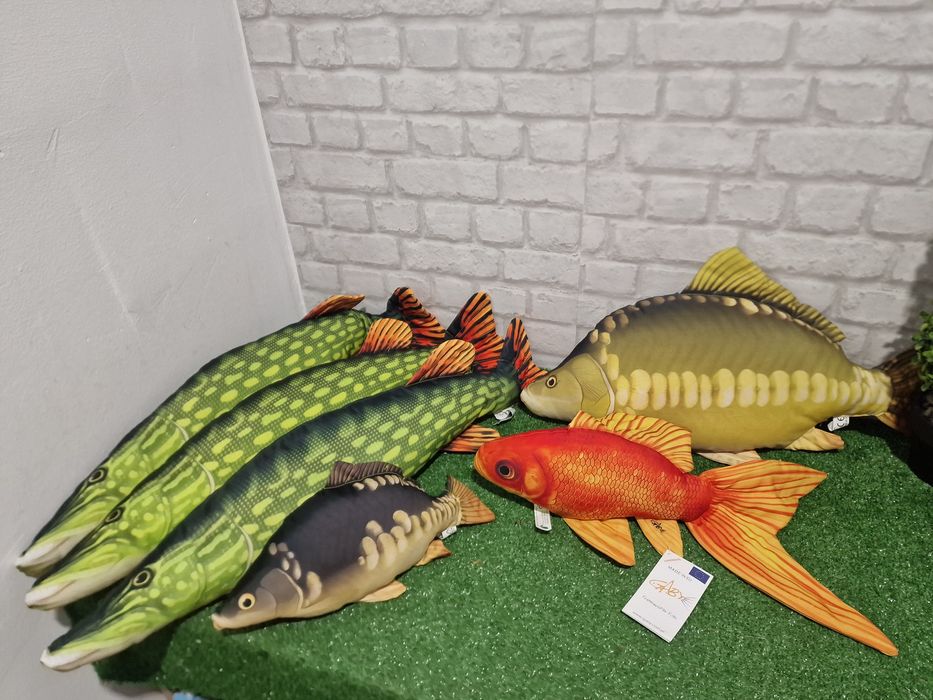 Възглавници риби разнообразие