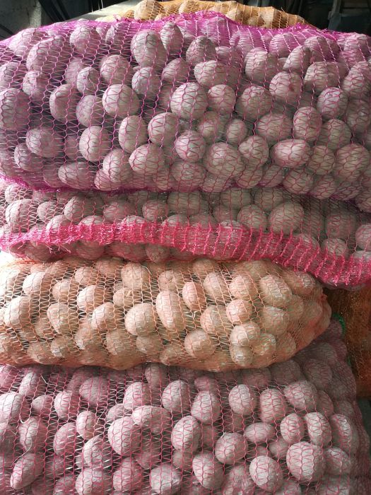 Cartofi roz de sămânță