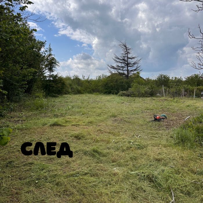 Разчистване на дворове, мулчиране, почистване на неподдържани парцели