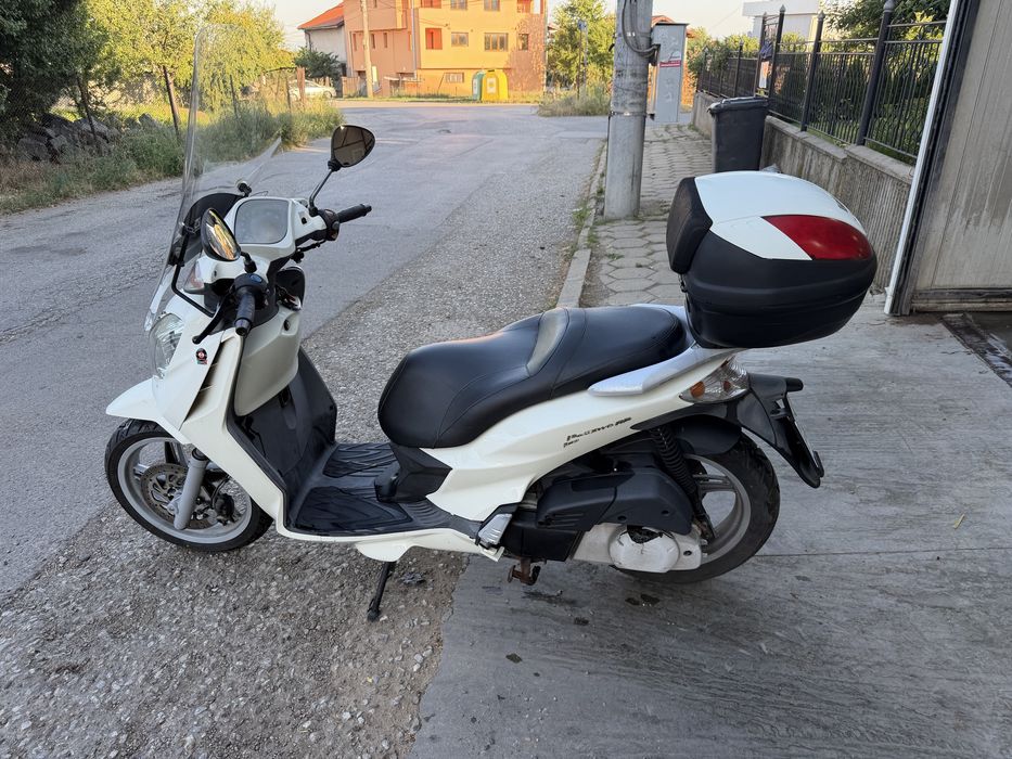 Malaguti password 250cc