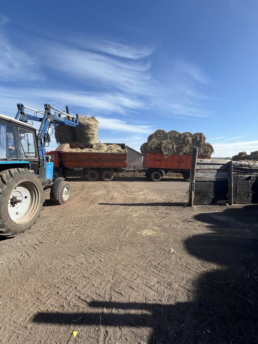 Продам сено с доставкой