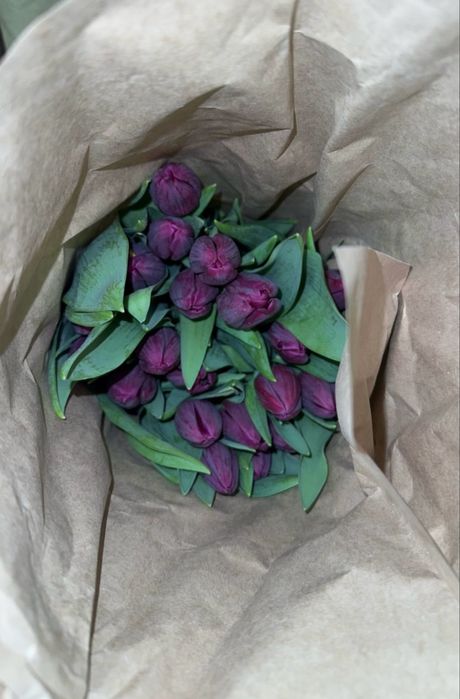 Свежие тюльпаны оптом и в розницу