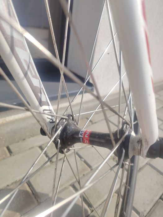 Cursiera Scott in stare excelenta