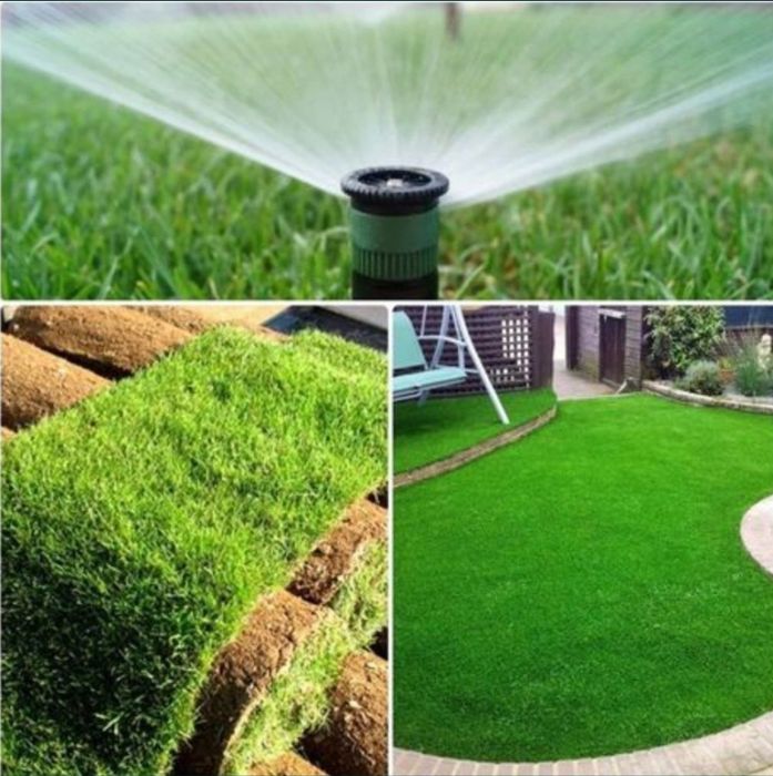 рулонный газон посевной gazon