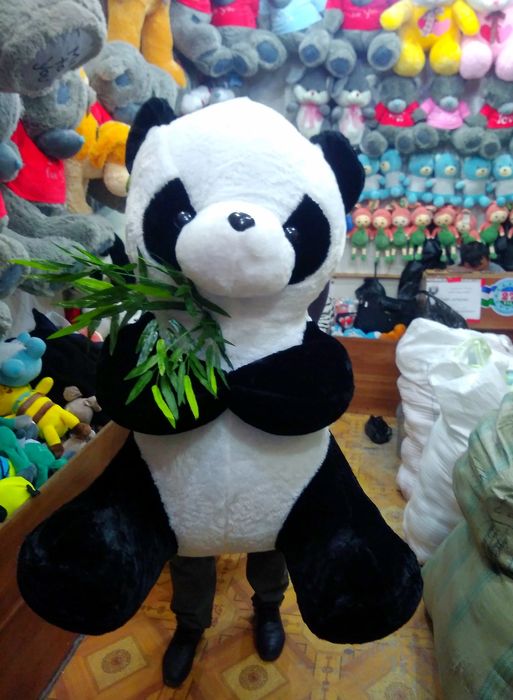 Teddi+ Teddy Panda va Boshqa Yumshoq O'yinchoqlar