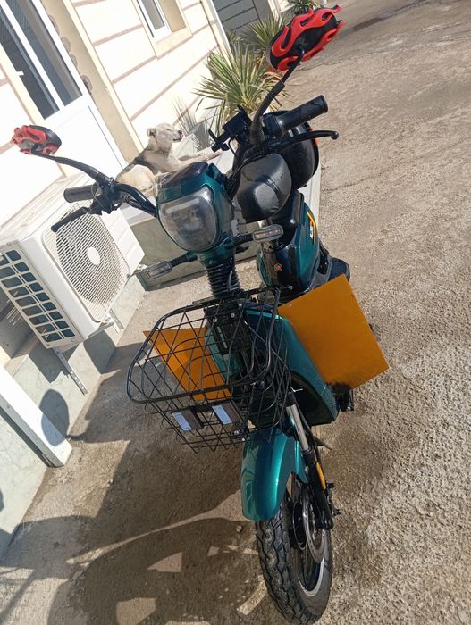 Skutur olinganiga 4 5 oy bo'ldi xolati idiyal pirava yoqligi sababli