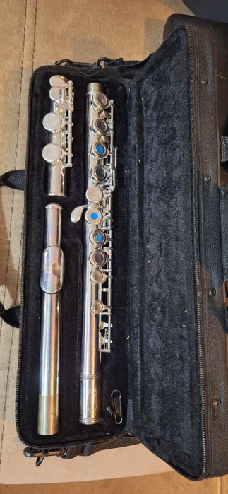 Flaut Sonata pentru hobby