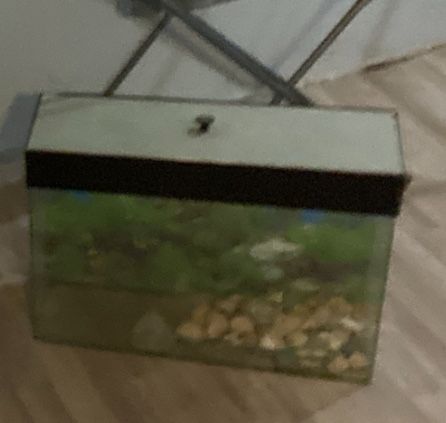 Небольшой аквариум