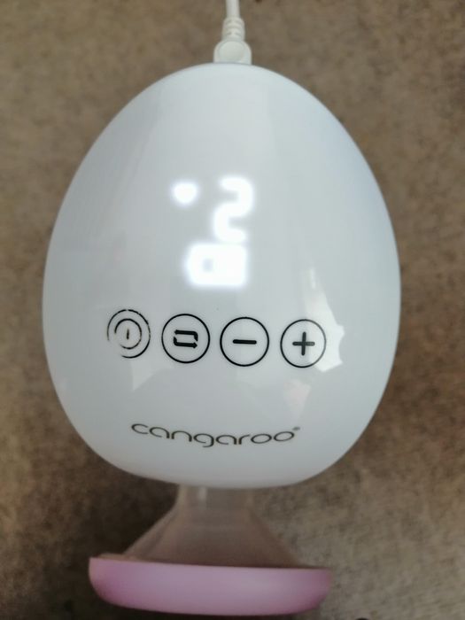 Електрическа помпа за кърма