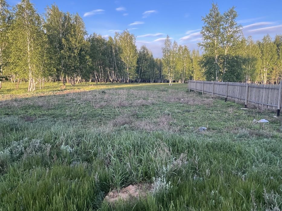 2 земельных участка