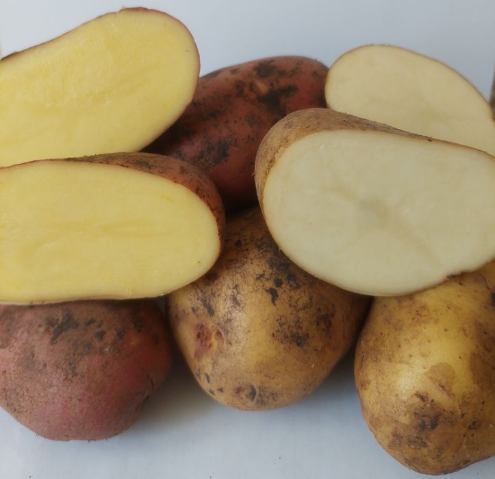 Картофель (красный,белый) с доставкой