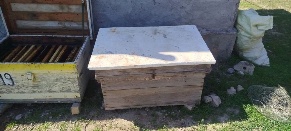 Asal ari uyi sotiladi