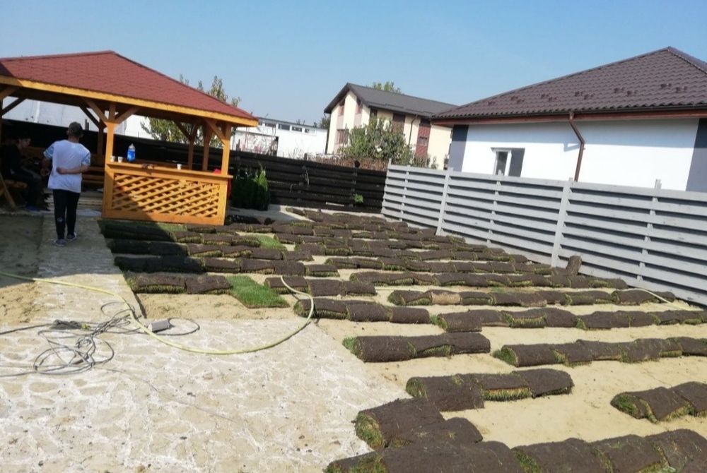 Gazon rulou sport 24 de lei m2. Transport și montaj inclus în preț.