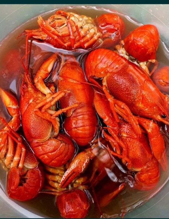 Вкусные Раки Пальчики оближешь !