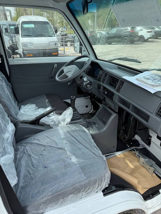 Bez prabeg Labo Damasla bor