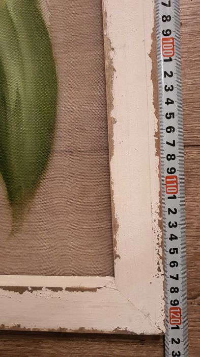 Голяма картина папагал, масло, дървена състарена рамка– 120см/ 60см