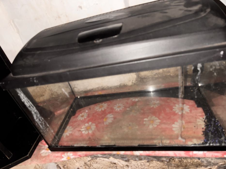 Vand acvariu pesti 60 l