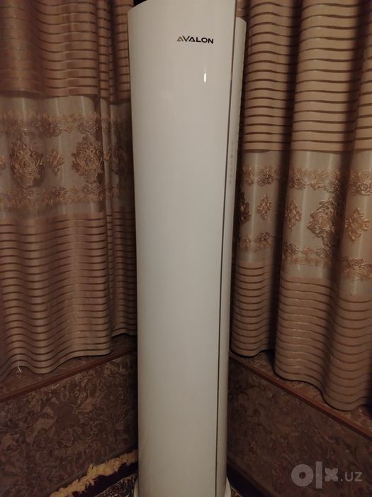 24 kanditsioner. Avalon