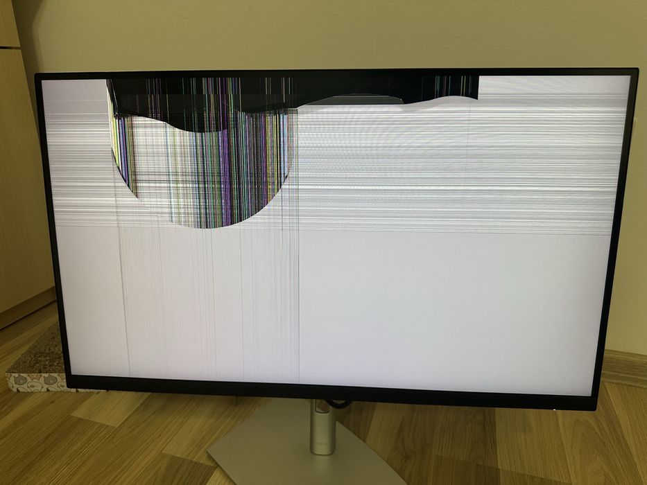 Monitor Dell defect