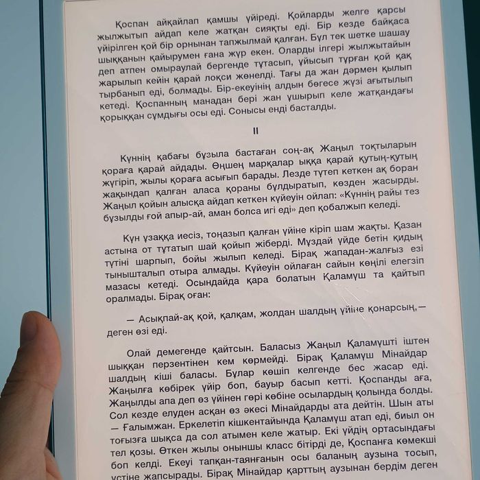 Электронная книга Kindle Scribe 2. 64GB Зеленый 2025 + Premium Pen