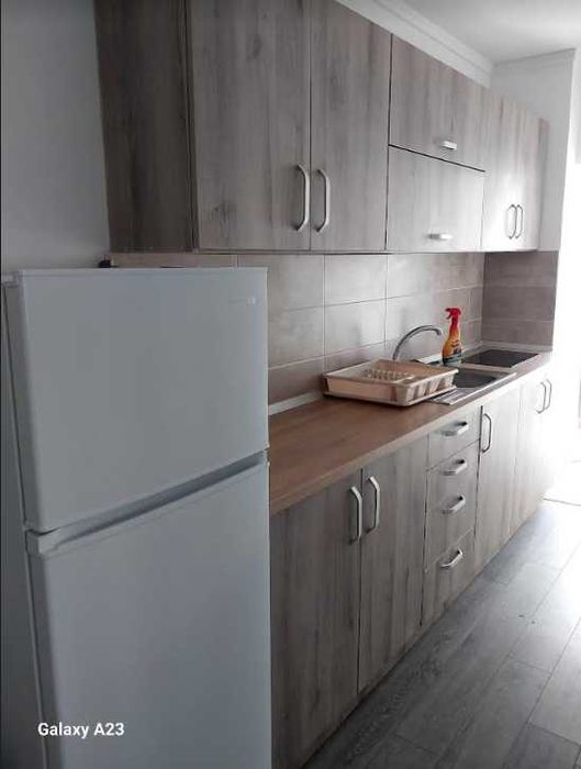 Dau in chirie apartament in Seini