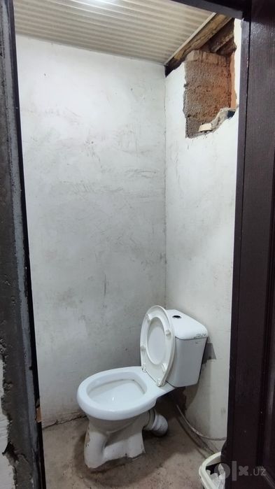 Bek baraka sex arenda