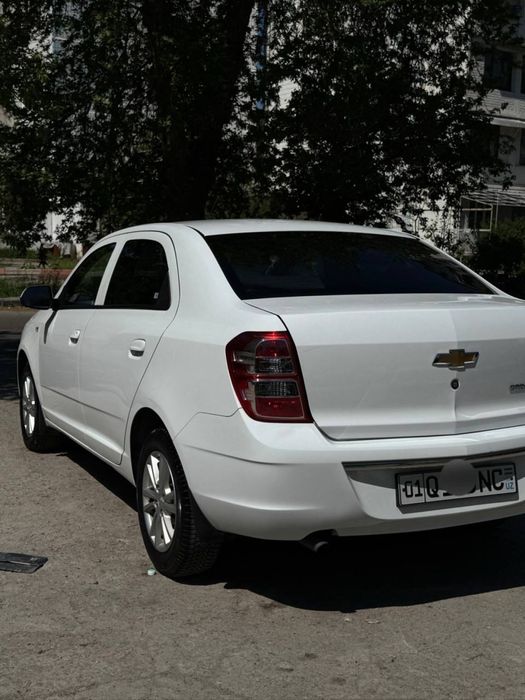 Cobalt 2024 oq style