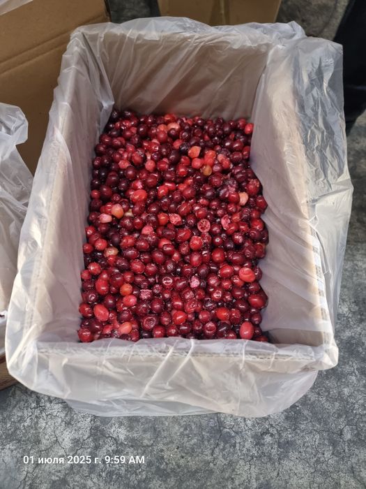 Клюква,замарозка, мин. 10кг со склада Ташкент