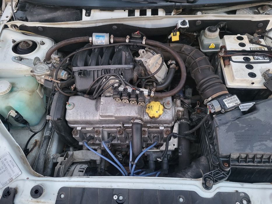 Калина Хэйчбэк 2014