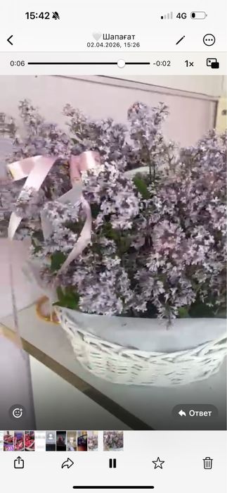 Адеми гул дау корзина