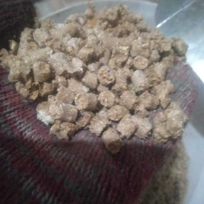 Еда  корм для рыб и курицам