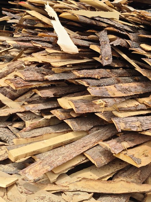 Гарбыль сосна ель