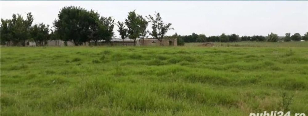 Teren cu vad, DN3 Piscicola