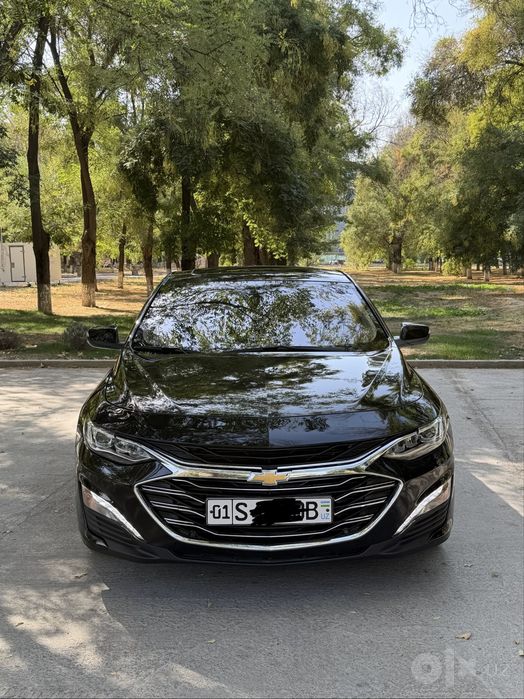Malibu 2 premer 2020