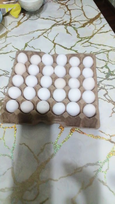 Яйца домашний свежий
