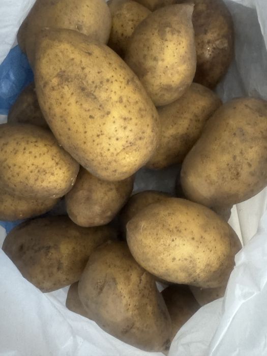 Картофель едовой, семенной