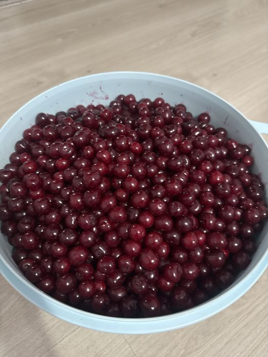 Свежая домашняя вишня