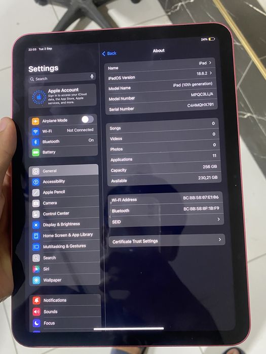 iPad 10 256GB