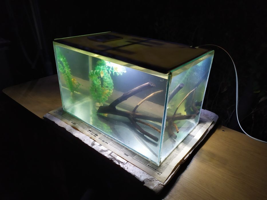 Аквариум 46л + бонусы и рыбки.