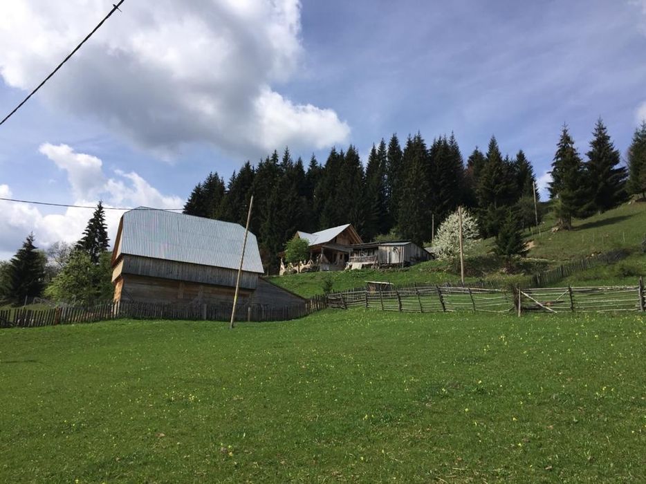 Casă/gospodărie + teren 5.7 ha intravilan Brodina, jud. Suceava