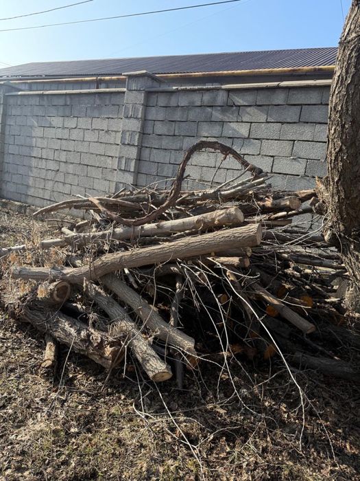 Тегін отын бар.  Бесплатные дрова