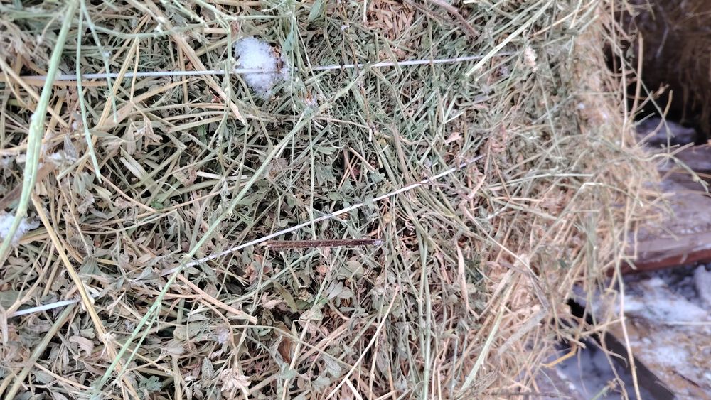 Качественное сено для КРС, овец и лошадей