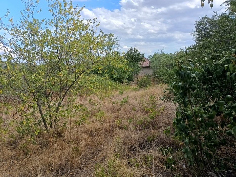 Teren intravilan cu casa bătrânească