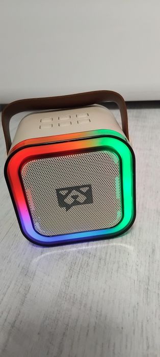 Boxa karaoke cu microfon