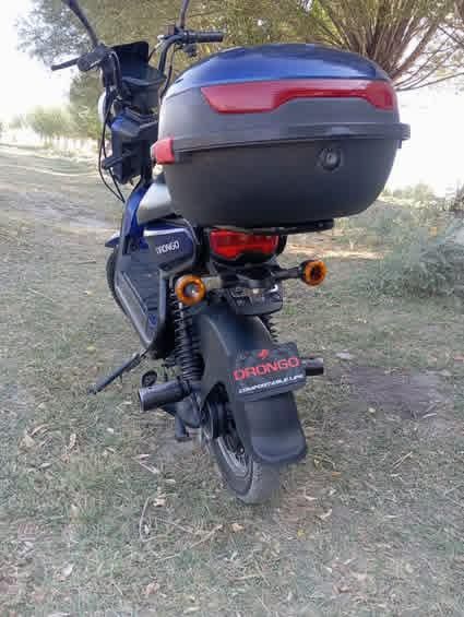 Drongo holati ajoyib