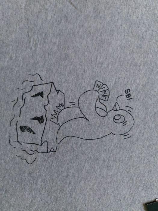 Nike'SB-S-НОВО-Оригинална