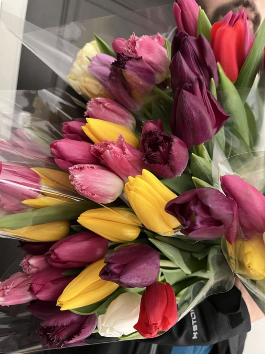 Тюльпаны в Актобе