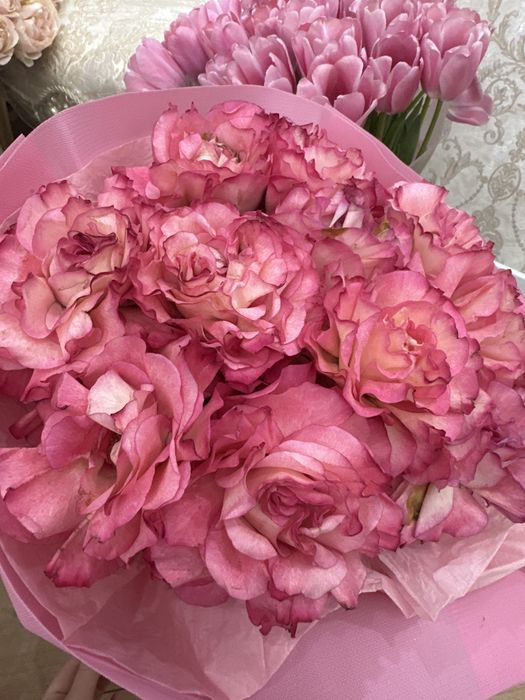 Свежие розовые розы