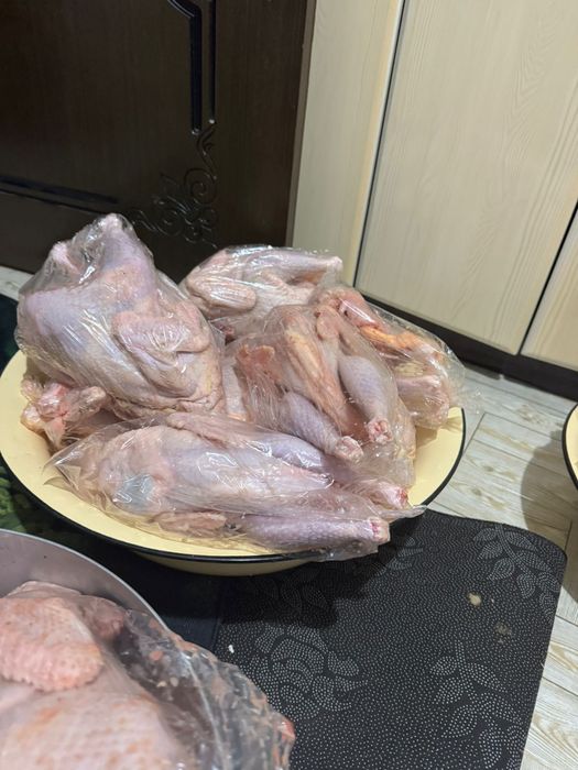 Свежий тауық еті сатылады